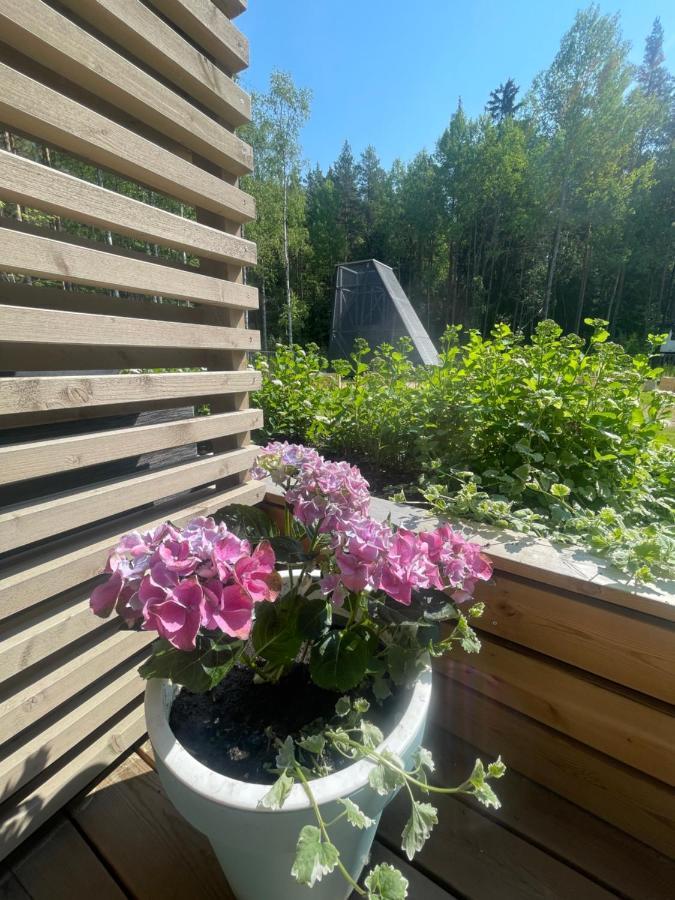 Appartamento Haalia Homes Paeaeskynpesae